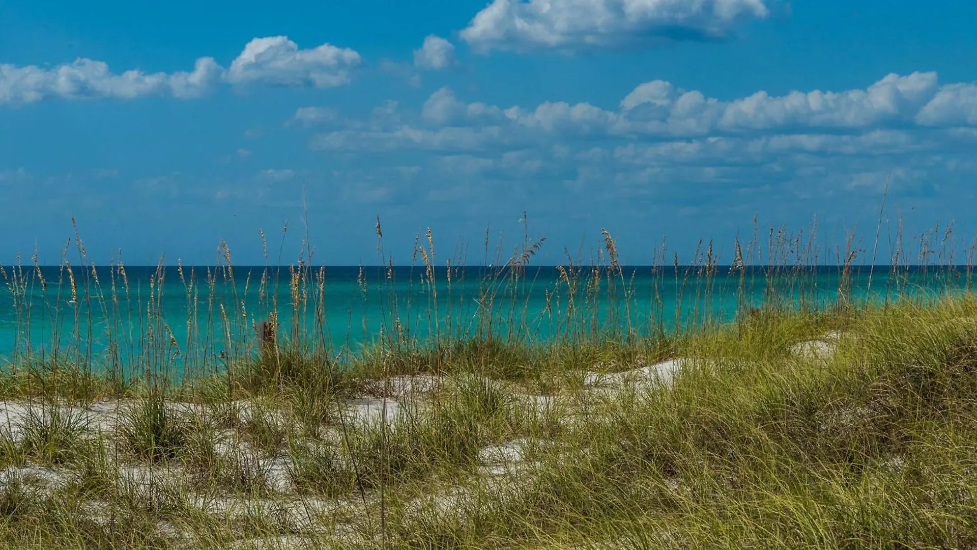 Aqua Resort 903 Panama City Beach Holiday home
